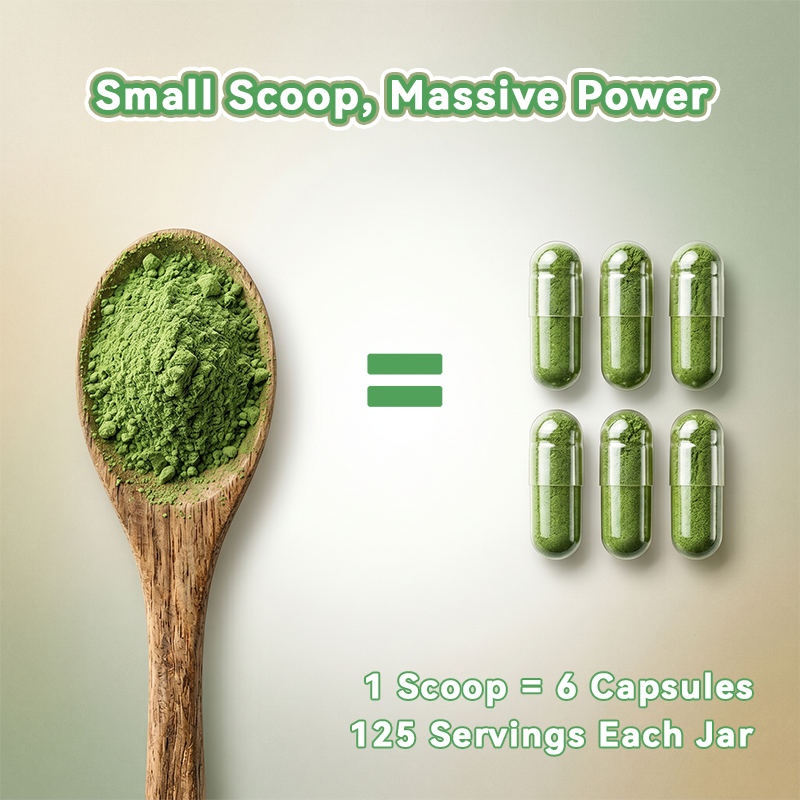 RELIERRE Pure Moringa Powder
